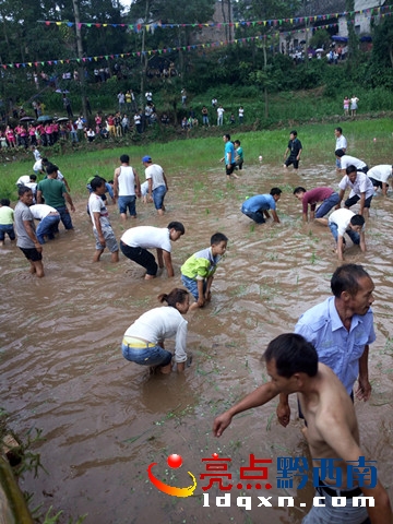 DƬ2   ׽~(y)鱈(chng).jpg