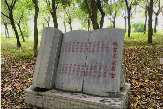 八中1.jpg