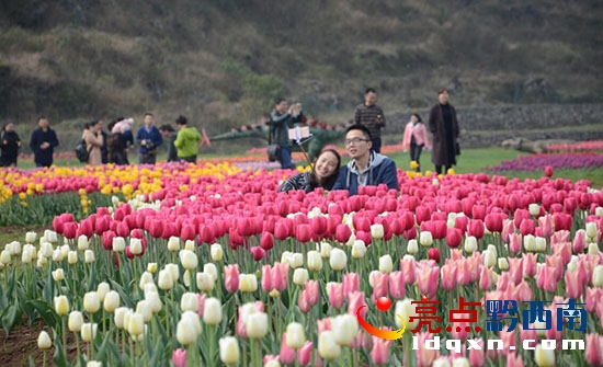 QQ截圖20170218201537.jpg