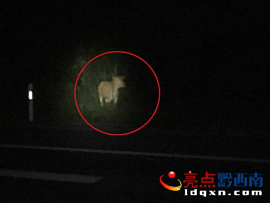 現(xiàn)場(chǎng)圖片 (2).jpg